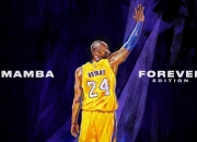 开云体育官网-挪威血拼爱尔兰，凯塞多如何成为北欧与绿岛之争的关键先生