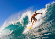 开云在线赛事平台-赛道上的逆袭，索伯险胜威廉姆斯，塞恩斯惊艳四座