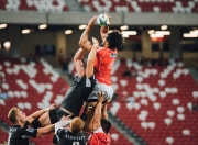 开云体育APP下载-南美风暴与非洲雄狮的史诗对决，蒂亚戈绝杀之夜刷新世纪纪录